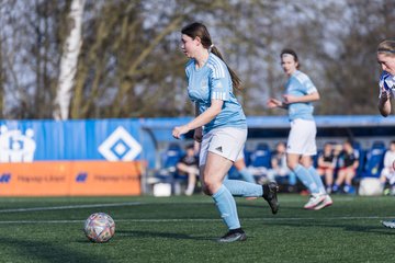 Bild 278 - F Hamburger SV 3 - Blau-Weiss 96 : Ergebnis: 5:1